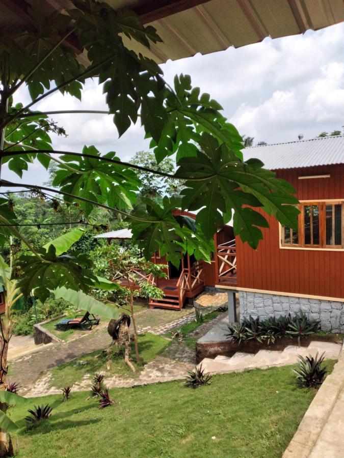 Guest House Quinta Natural Bangalots Graca Eksteriør bilde