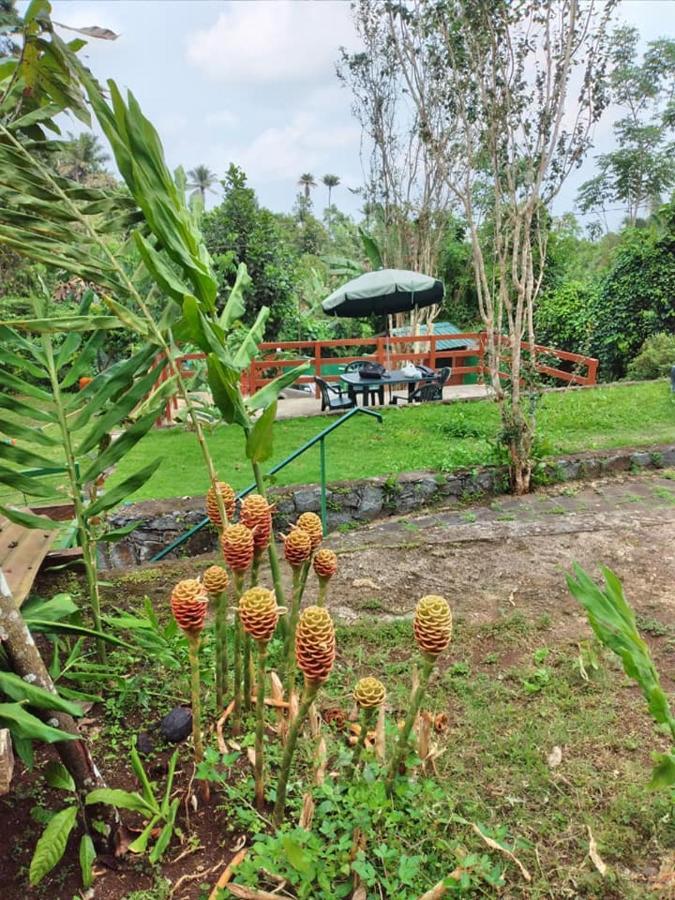 Guest House Quinta Natural Bangalots Graca Eksteriør bilde