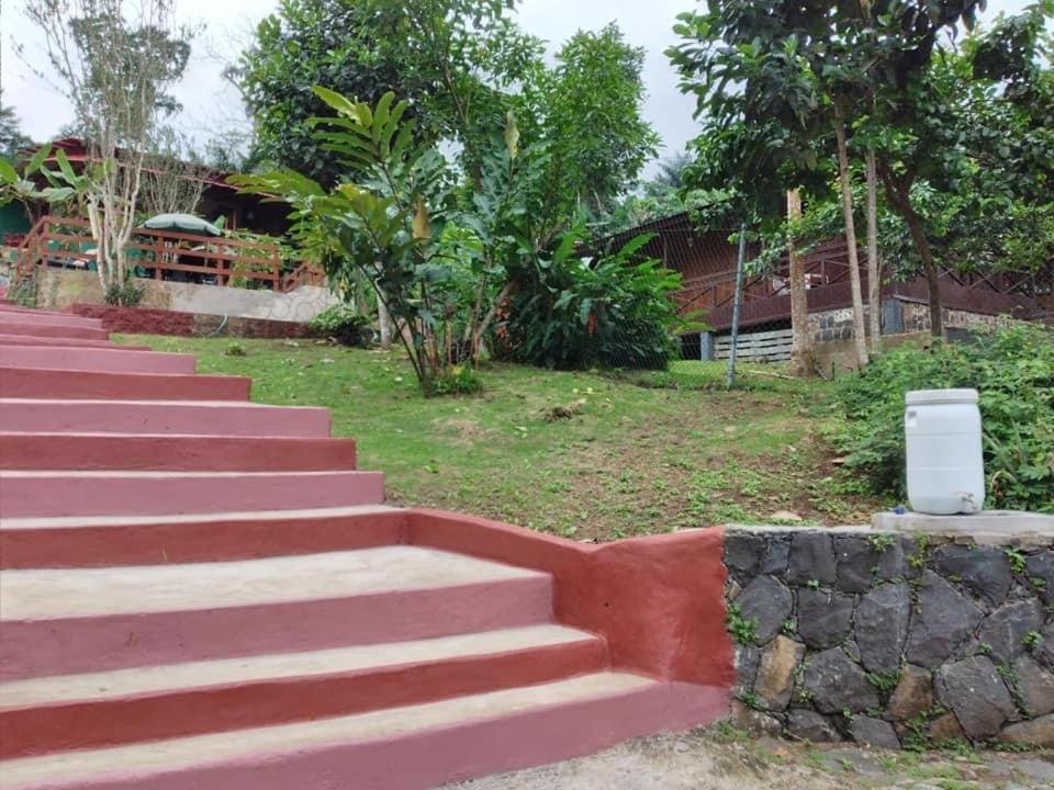 Guest House Quinta Natural Bangalots Graca Eksteriør bilde