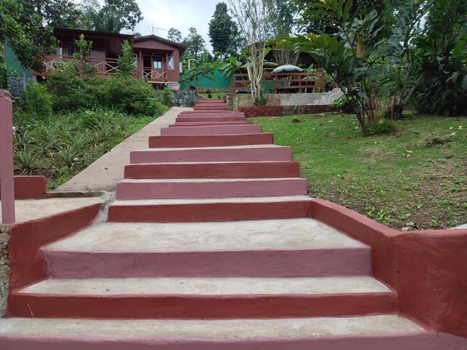 Guest House Quinta Natural Bangalots Graca Eksteriør bilde