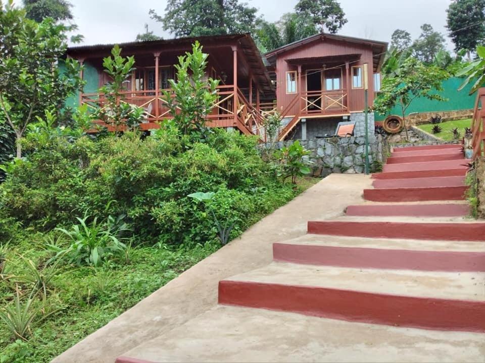 Guest House Quinta Natural Bangalots Graca Eksteriør bilde