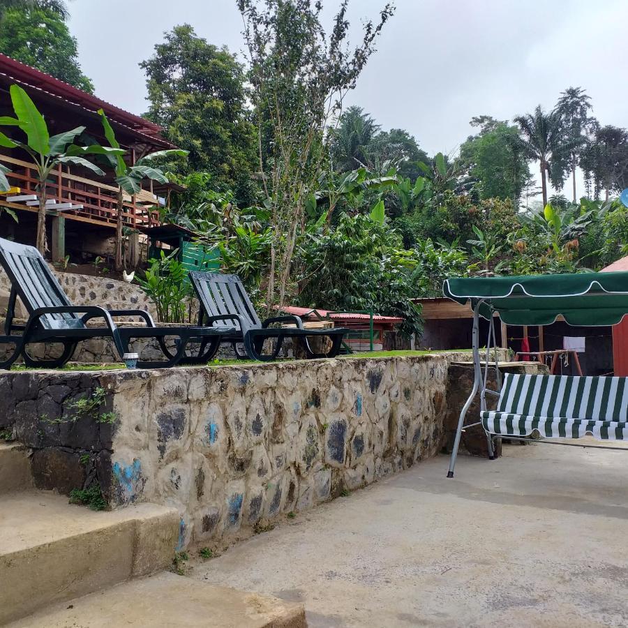 Guest House Quinta Natural Bangalots Graca Eksteriør bilde