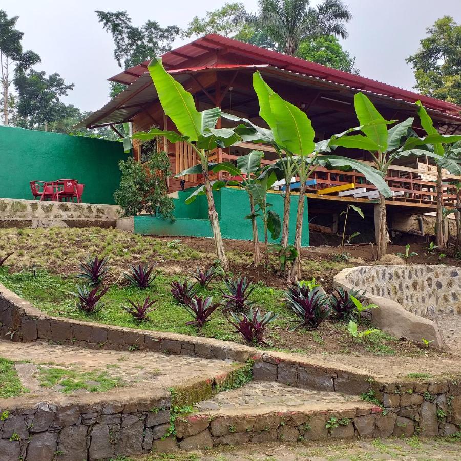 Guest House Quinta Natural Bangalots Graca Eksteriør bilde
